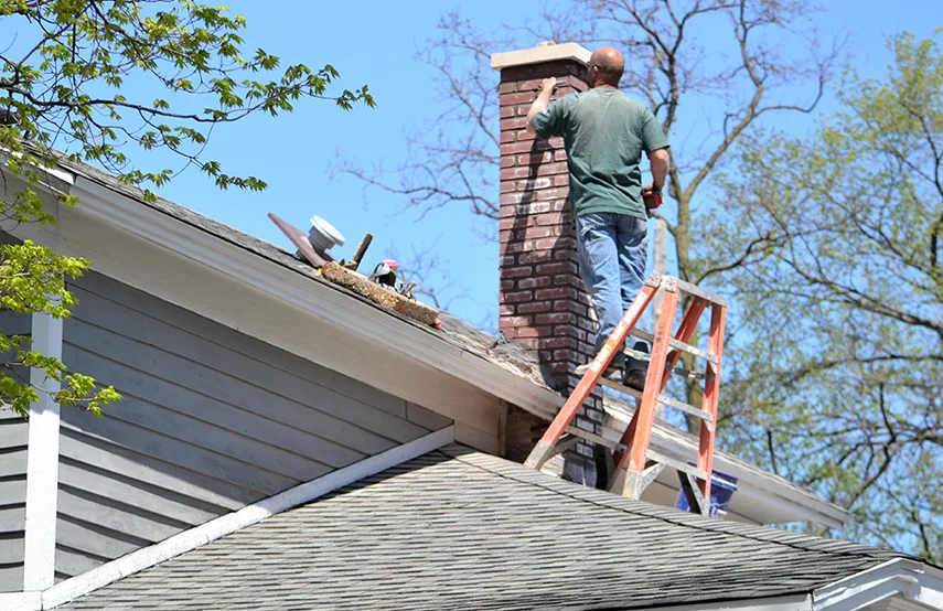 Chimney & Fireplace Inspections Services in East Rancho Dominguez, CA
